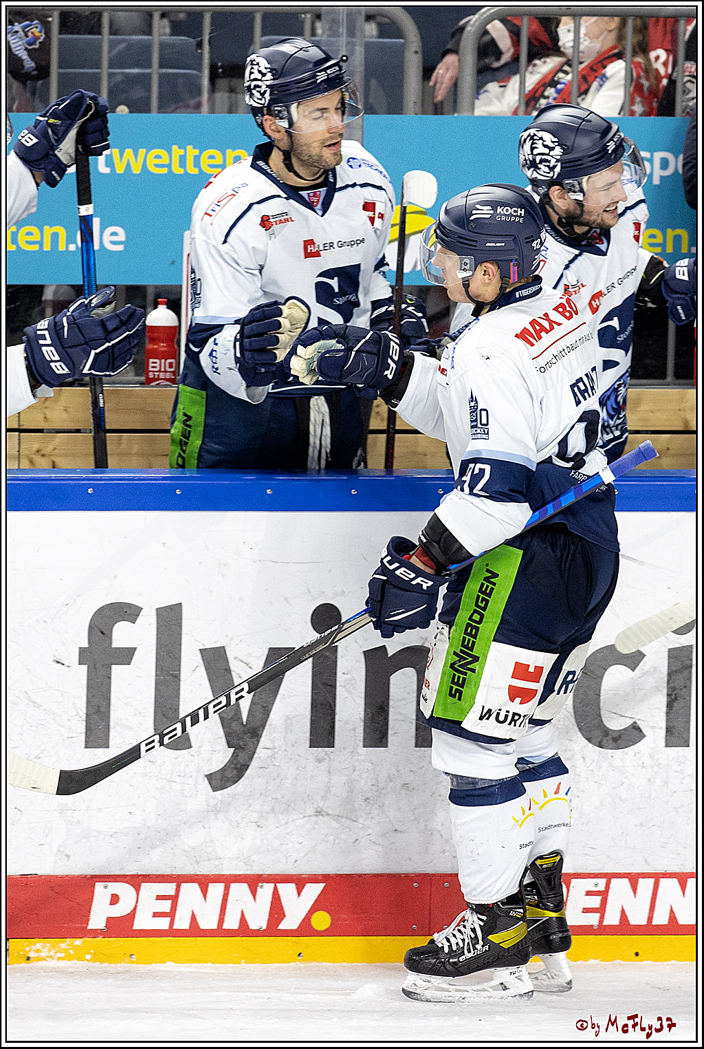 PENNY DEL;  Koelner Haie - Straubing Tigers; Koeln, 11.03.2022